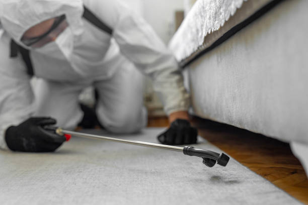Professional Pest Control technician working in Lee County County, KY